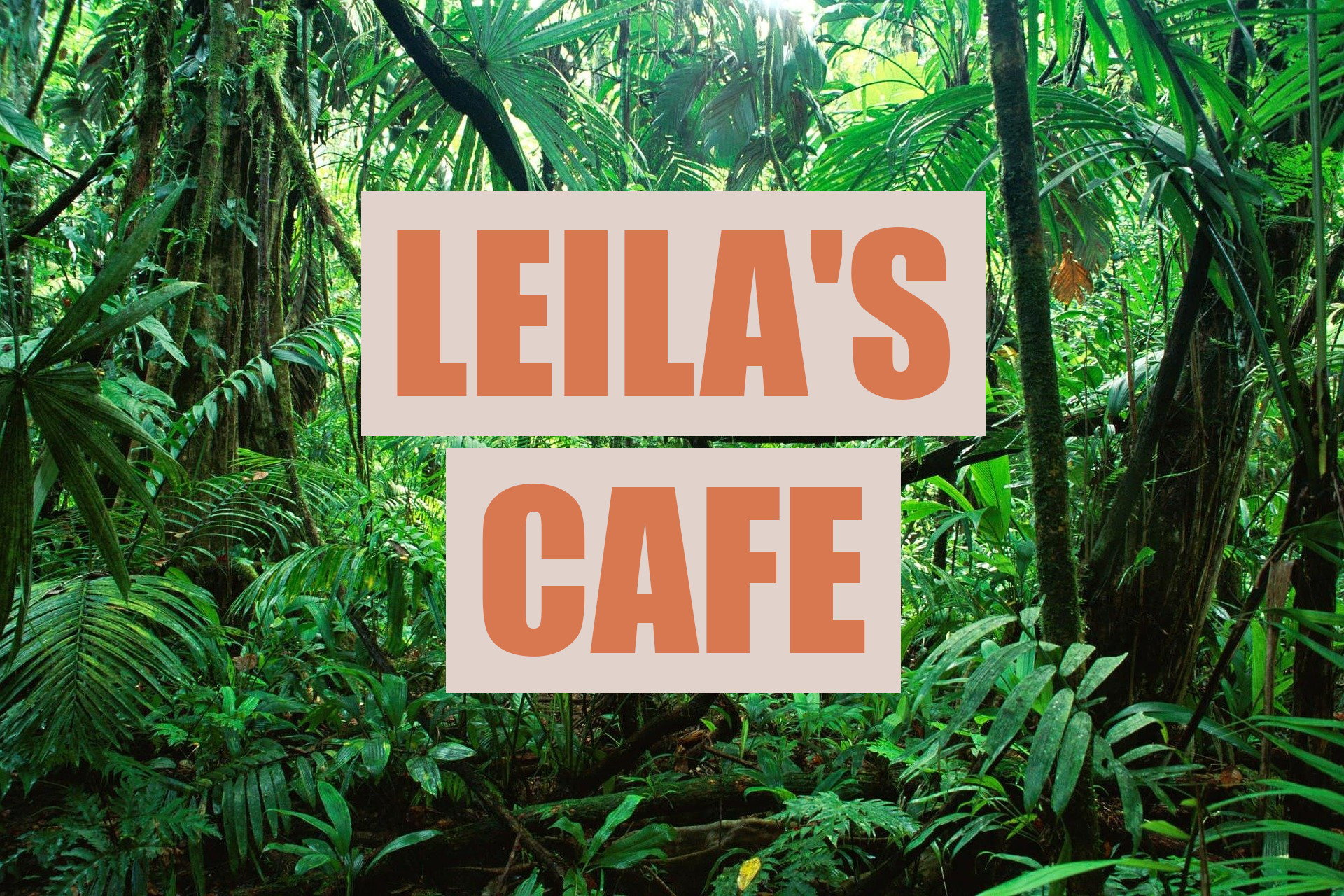 Leila's Cafe